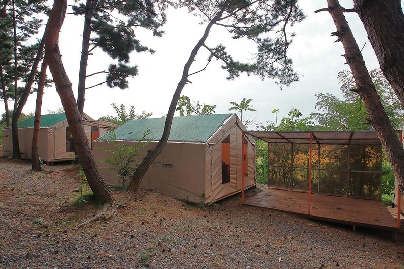 서천 늘푸른캠핑장 시설 사진 18