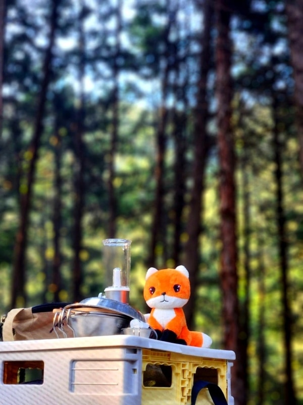 고프네,, 팝업텐트들고  솔로캠핑 1박 @사천케이블카자연휴양림