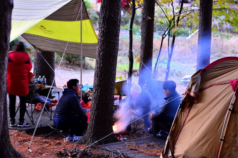 푸른숲캠핑장 시설 사진 4