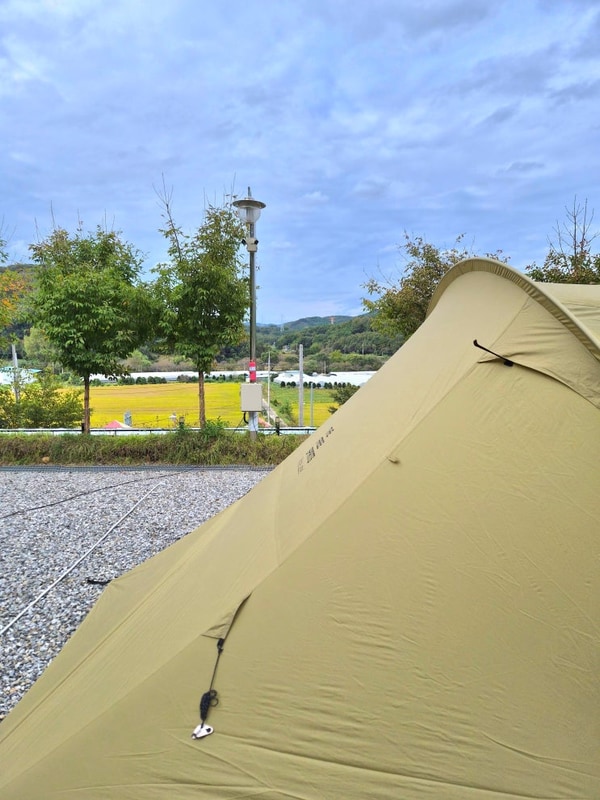 초등 아들과 함께 가족 캠핑, 진천 포레스트 캠핑장