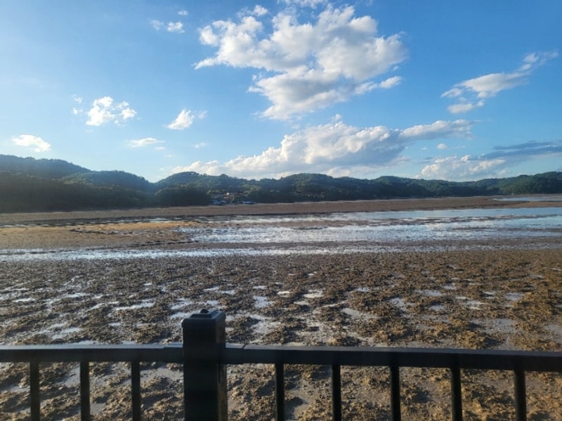 나의3번째 캠핑: 사천5901 캠핑장 후기