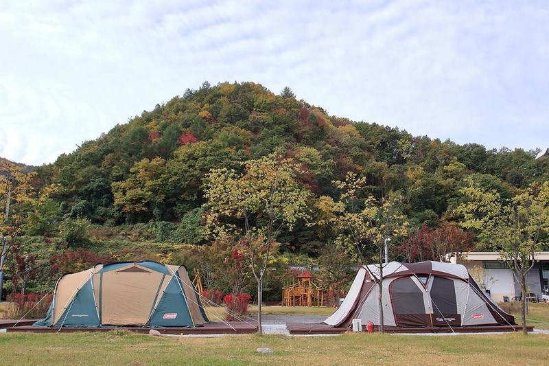 성덕댐 수달 캠핑장 시설 사진 19