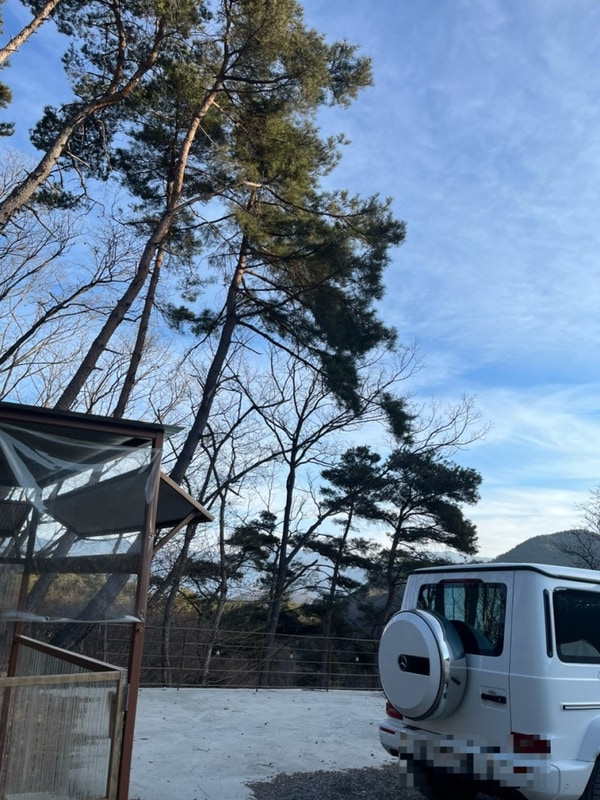 25년도 01월 청도 에이스 캠프