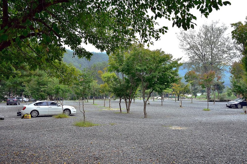 계곡메사 오토캠핑장펜션 시설 사진 13