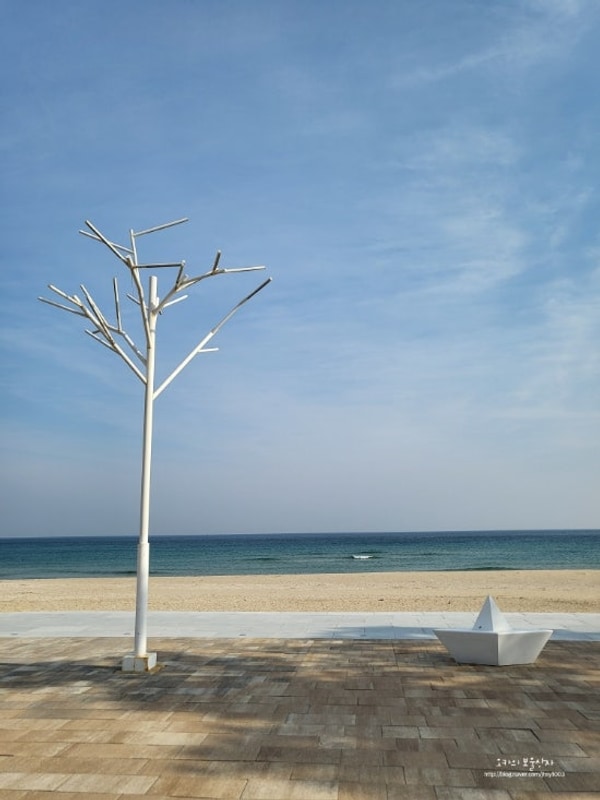 동해 망상오토캠핑리조트 언제 가도 좋다