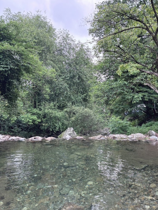 2주만에 재방문한 제천 계곡캠핑장 달재오토캠핑장