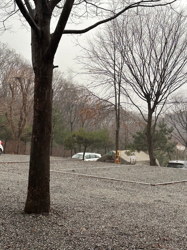 봄 캠핑 다녀왔어요! 자연 속 힐링 [연천아미캠핑장]