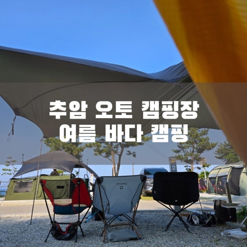 동해 추암 오토캠핑장 A2 사이트 느긋하고 우아한 캠핑