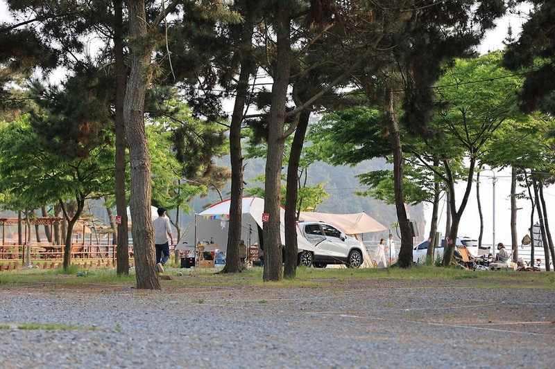 바다풍경관광농원 시설 사진 8