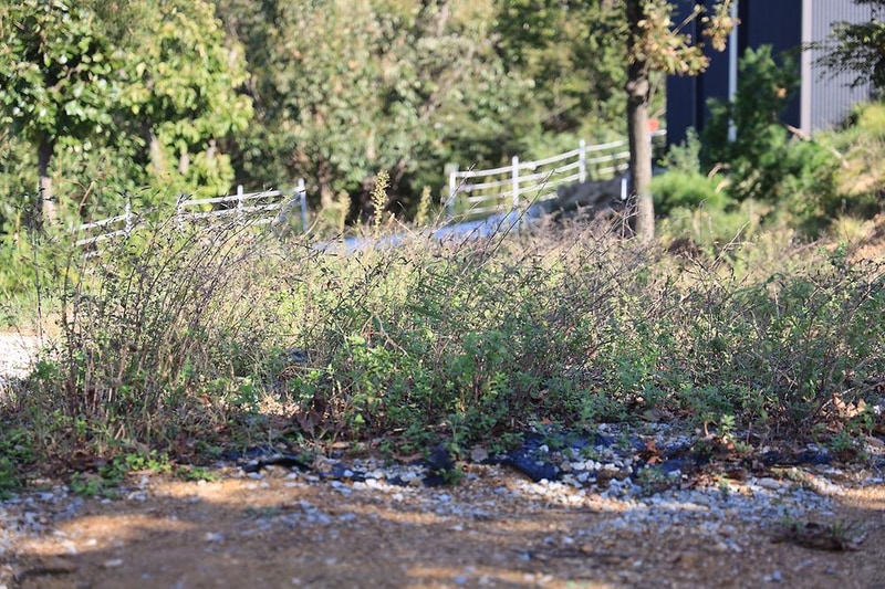 검디 관광농원 야영장 시설 사진 14