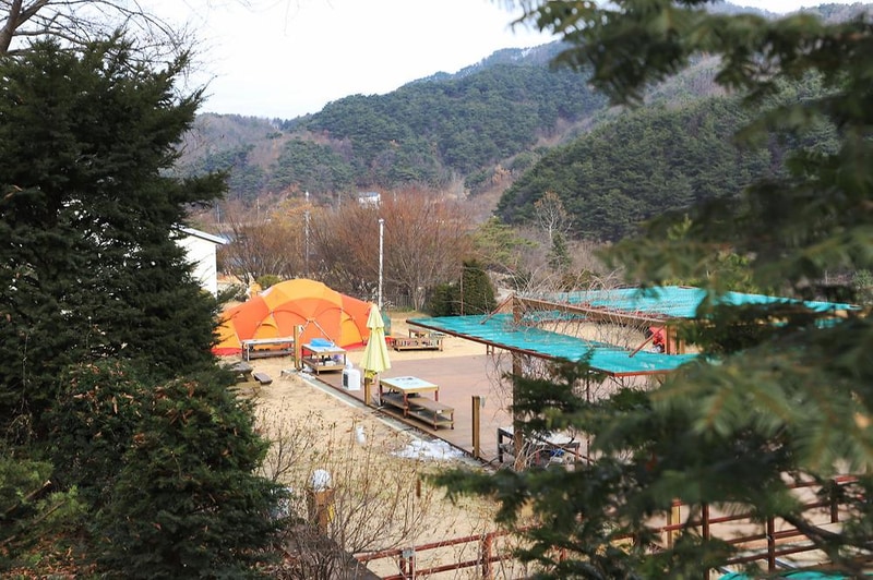 벳소캠프 시설 사진 13
