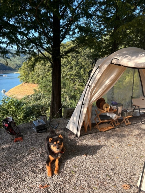 충주 카누 캠핑장 2박3일 뷰맛집 캠핑장 추천, 애견동반 가능...