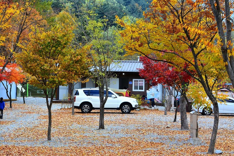 소풍캠핑장 시설 사진 12