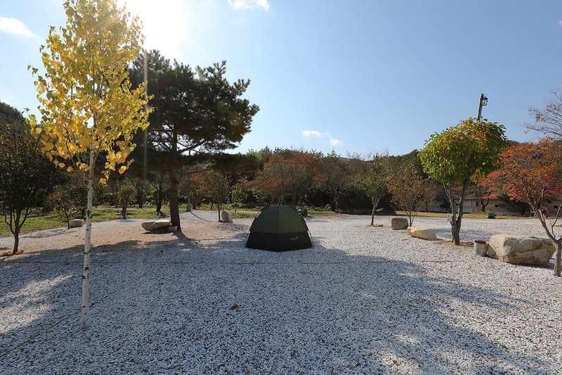 왕피천모래언덕 펜션/캠핑장 시설 사진 19