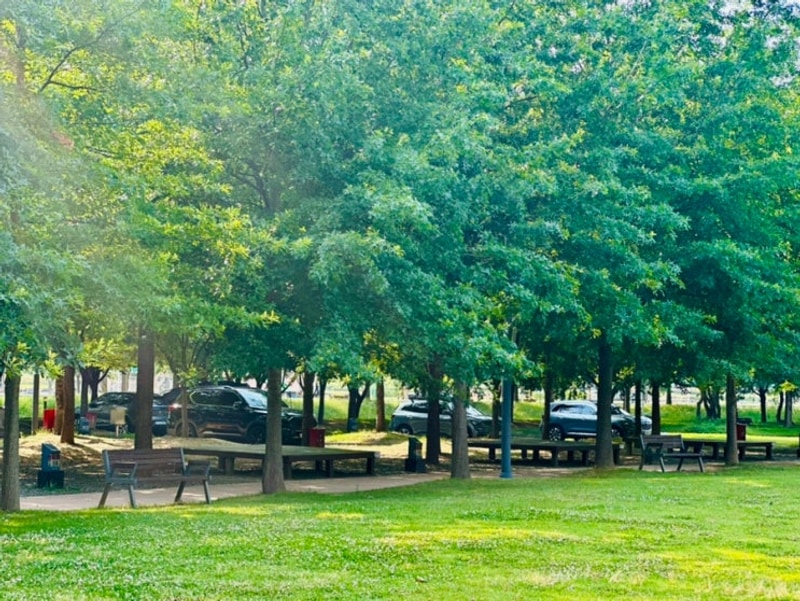 구미캠핑장 낙동강체육공원 그늘이 좋은 C사이트 2025.06....