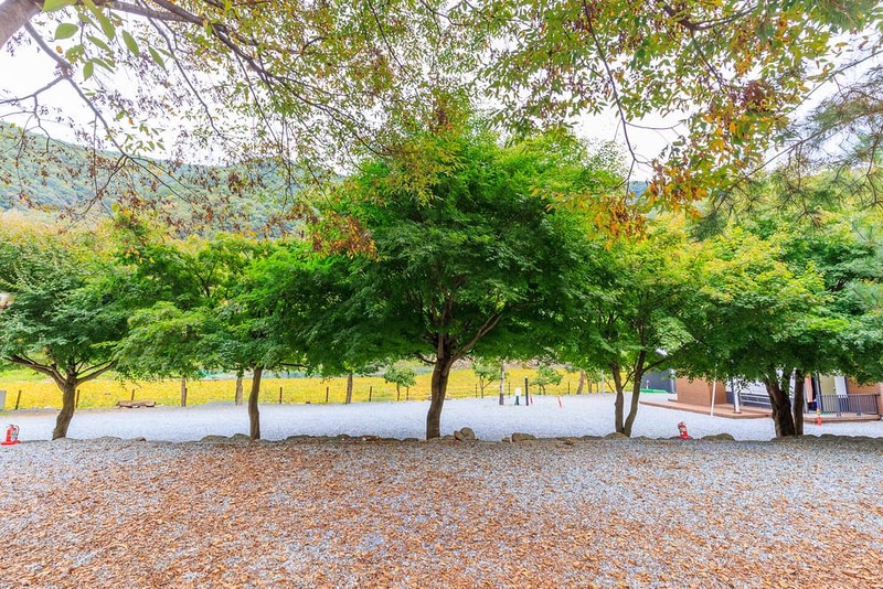 포레스트캐빈앤캠프 시설 사진 13