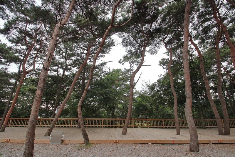 용봉산캠핑장 시설 사진 21