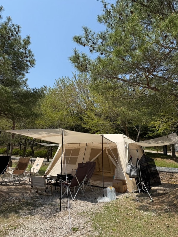 포천 벚꽃캠핑장추천 키즈캠핑장 가래골농원 캠핑장