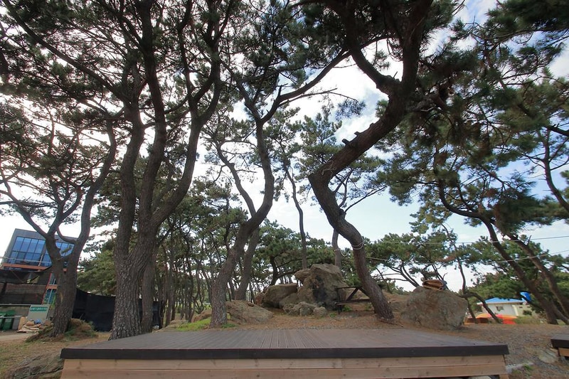 썬빌리지펜션캠핑장 시설 사진 1