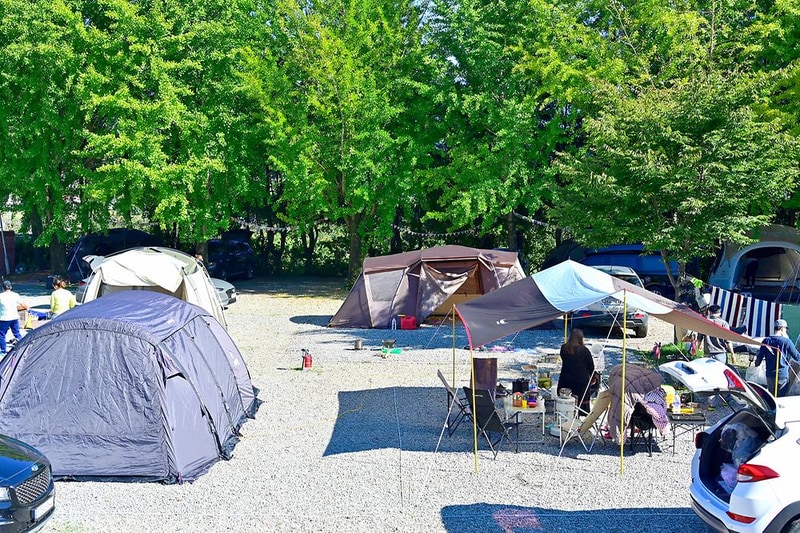 가고파캠핑장 시설 사진 15