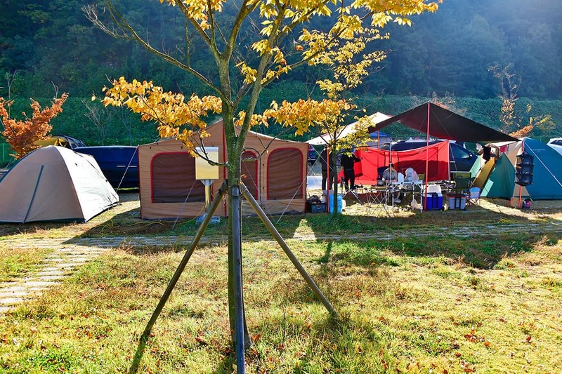 생림 오토 캠핑장 시설 사진 5