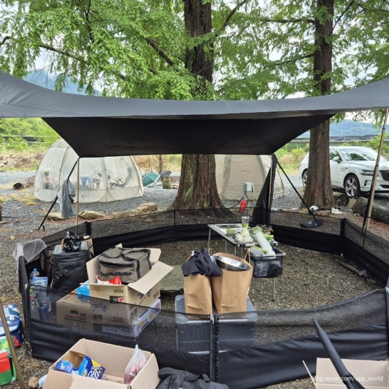 경북 청도군 'I Go 오토캠핑장' 리뷰