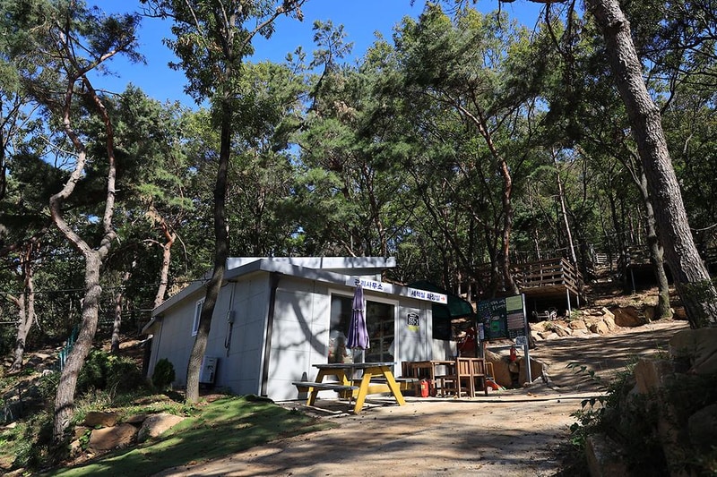 강화도 아침 숲속야영장 시설 사진 16