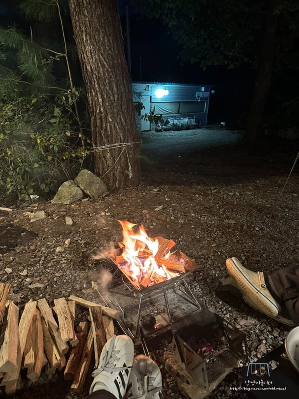 포천 어거스트캠핑장 포레스트6사이트 가을 오토 캠핑