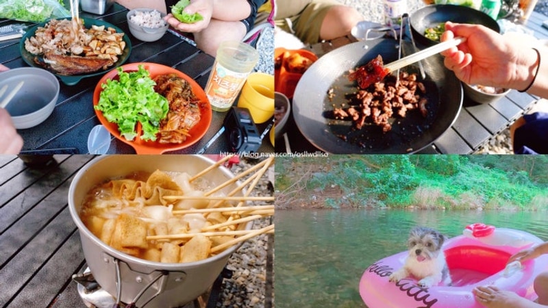 전북 완주 애견 동반으로 좋은 깔끔한 캠핑장 부엉캠핑클럽...