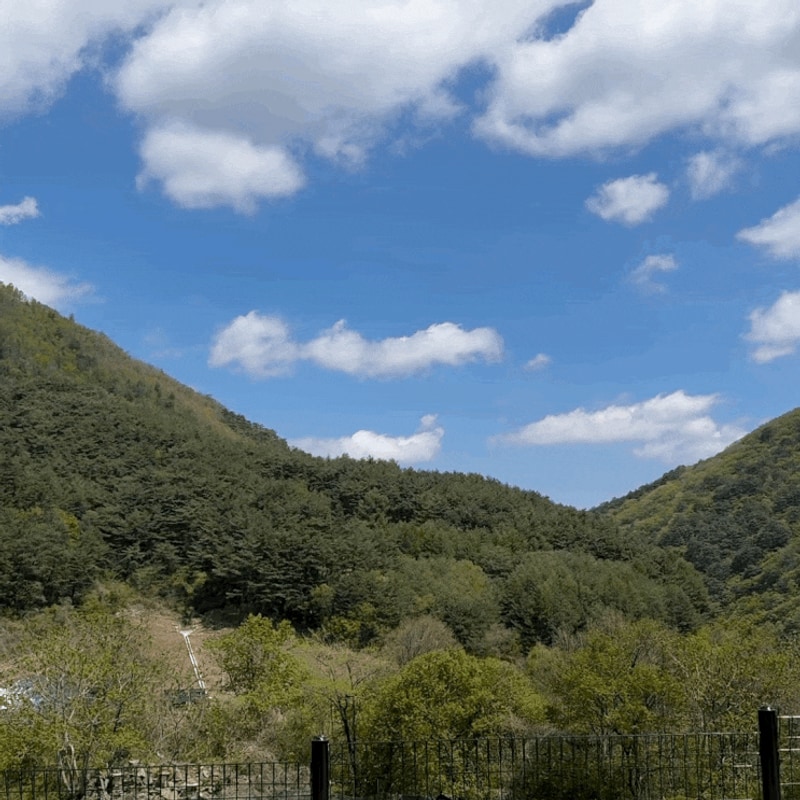 독차지캠핑 | 41번째 캠핑 : 역대급 시설과 환상적인 마운틴...