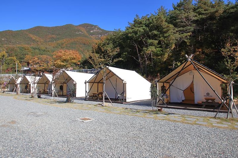 대성글램핑 대표 사진