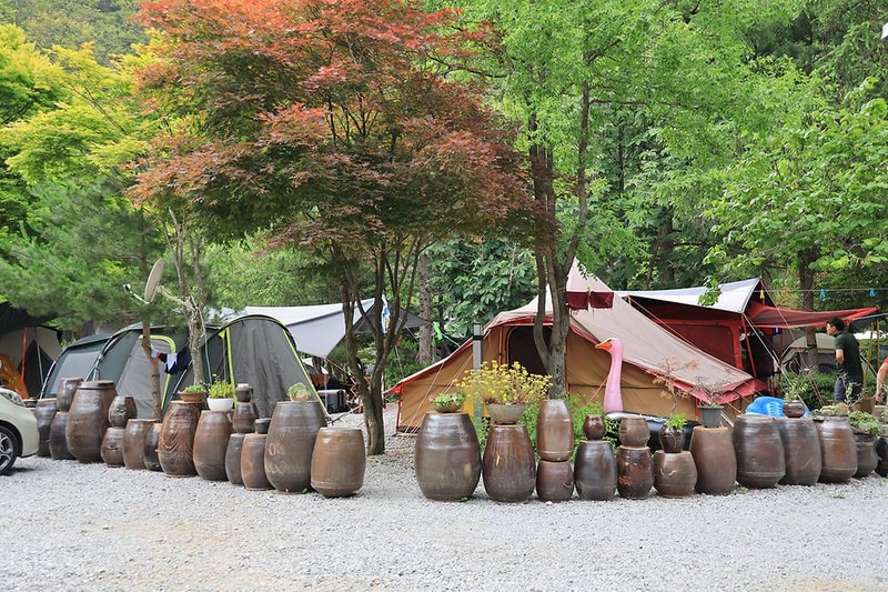 히어리캠핑장 시설 사진 19