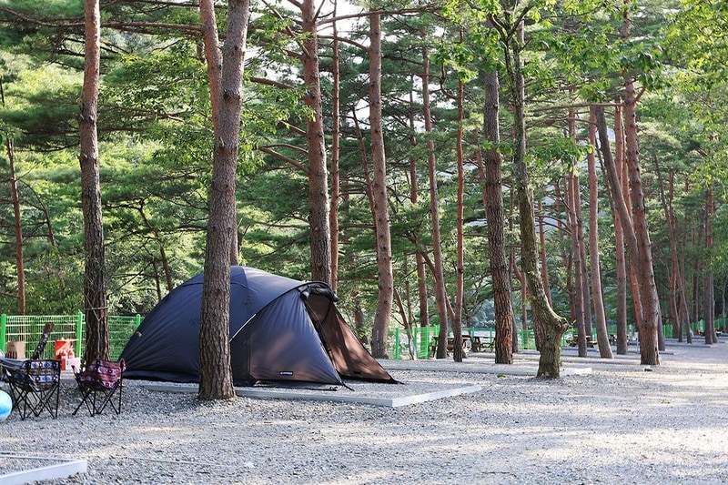 법수치오토캠핑장 시설 사진 22