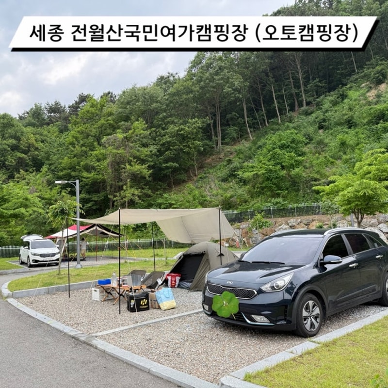 세종 전월산 국민여가 캠핑장 후기&정보(아이와 함께 오토캠핑장)