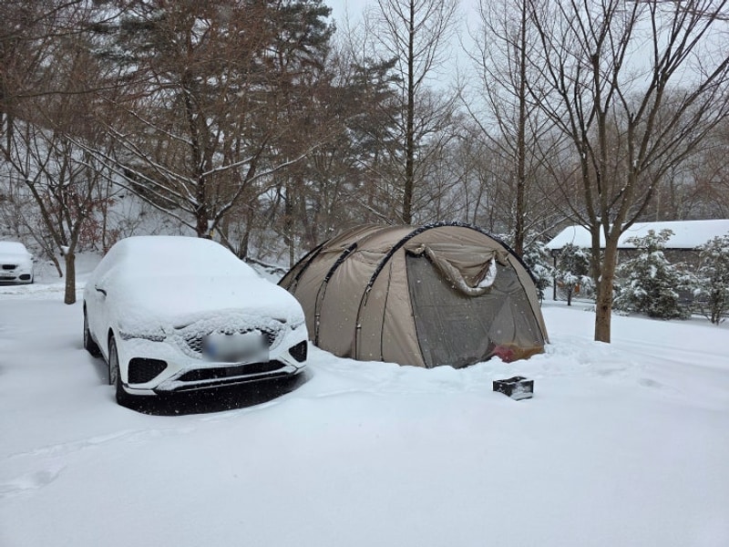 원주 산노리캠핑장ㅣ산멍14, 미니카 대회, 바로커치킨 배달 후기