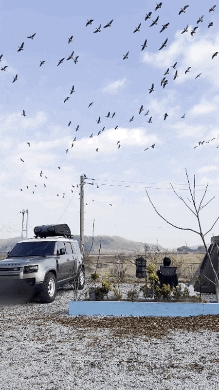 강화고인돌캠핑장(철새 떼까지 만난 캠핑일기,사이트 특3)