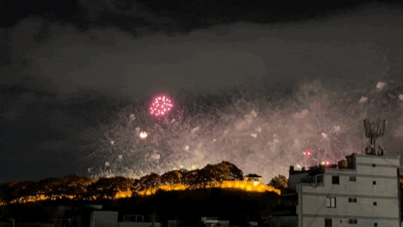 [임신중기/25~28주]임산부 통영 욕지도 청보리오토캠핑장...