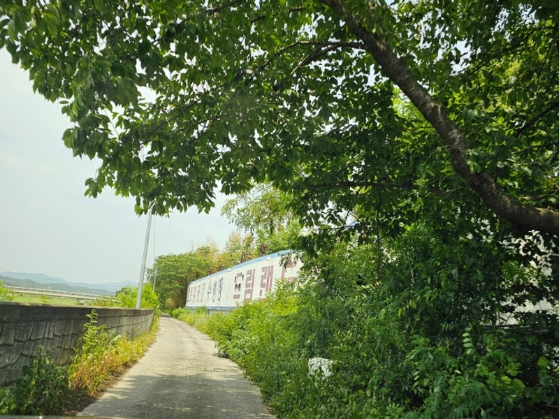 경북 영천 가볼만한 곳 수영장 추천 '영천 드림랜드 오토캠핑장'