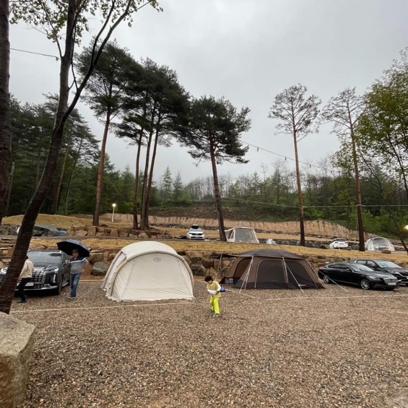 #2. 평창 가야지캠핑장/애견동반 11.14~16