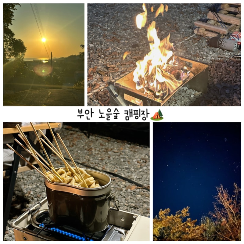 가기 좋은 조용한 캠핑장 | 밤하늘이 예쁜 전북 부안 노을숲캠핑장