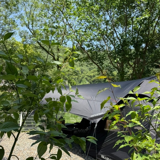 로드스타 대표 사진