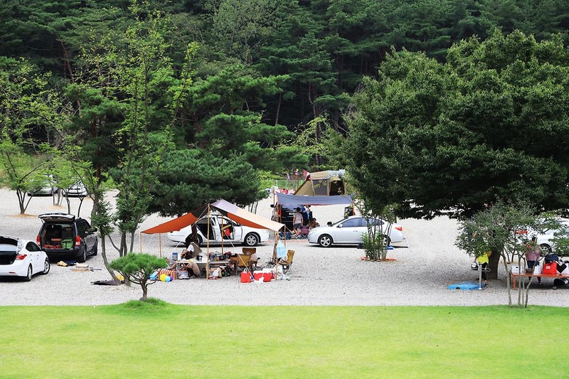 경주 더숲 관광농원 시설 사진 9