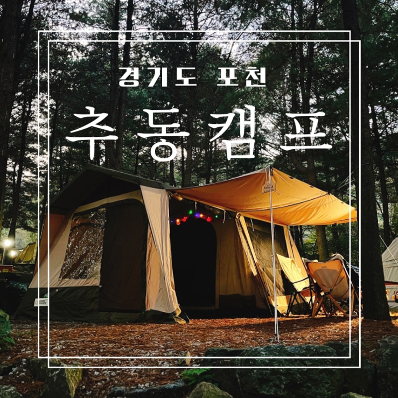 캠핑장 잣나무 숲이 멋진 추동 캠프 경기도 포천 캠핑장 추천