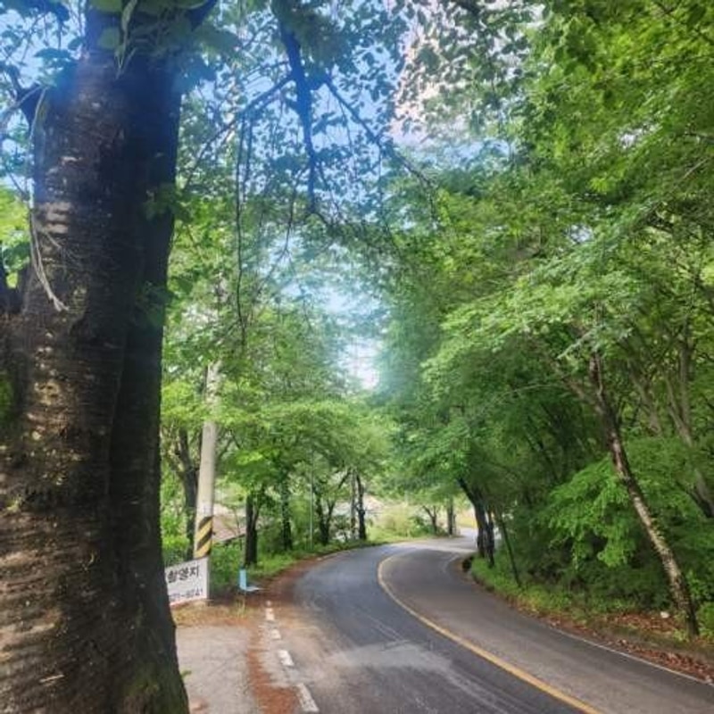 고령 상비오토캠핑 / + 노스피크 모나 / 물 좋고 주인 좋고