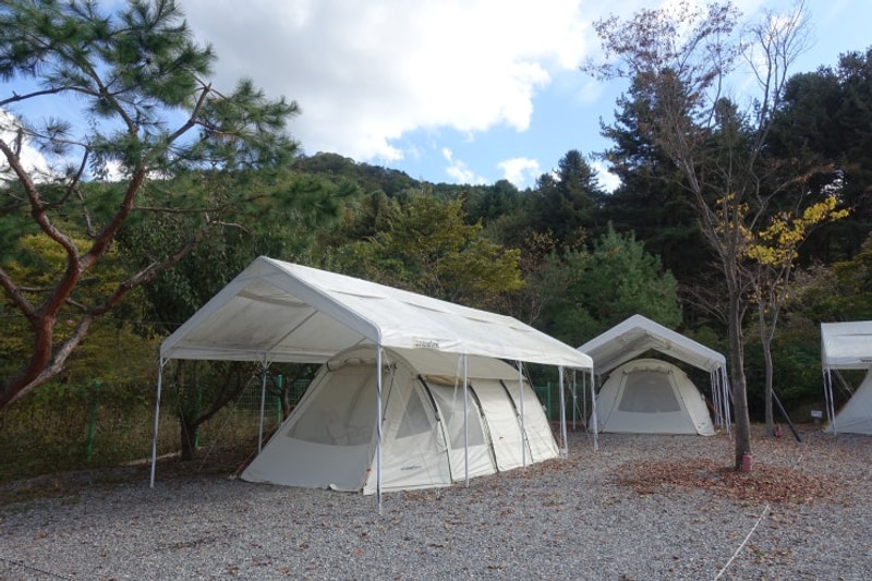 가평 무릉도원 캠핑장 할로윈 캠핑 4가족 단체캠 후기