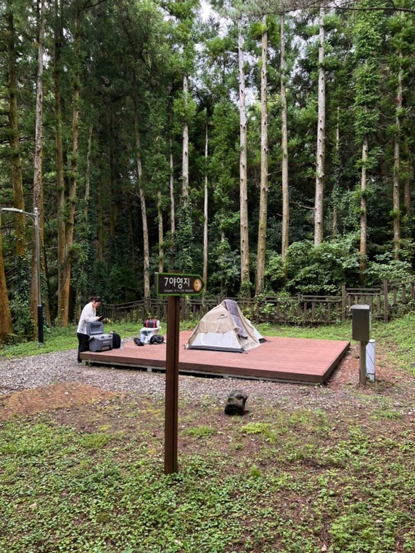 제주도 캠핑 서귀포 돈내코야영장은 그냥 뭐..(7번 데크)