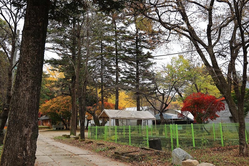 일영Star캠핑장 시설 사진 12