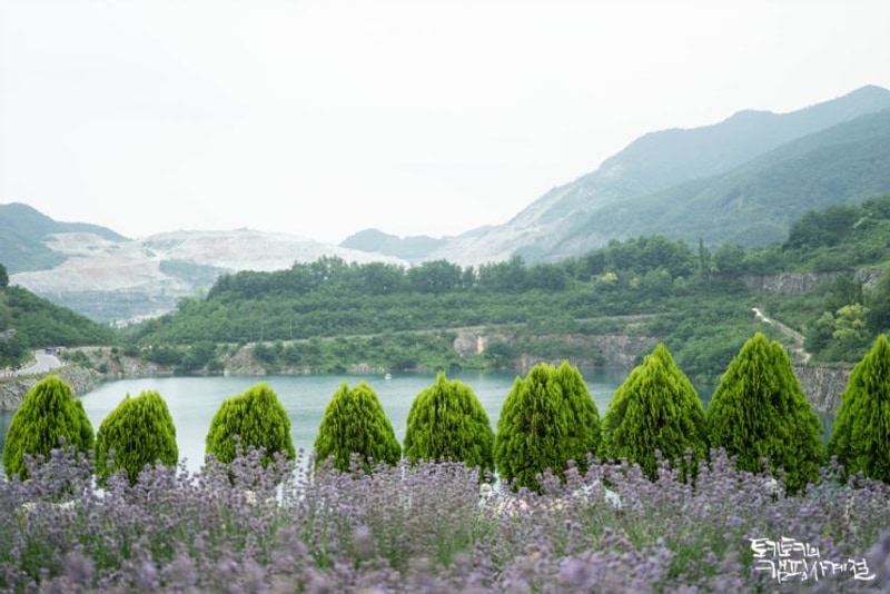 동해 무릉별유천지, 동해 맛집 소복소복, 강릉 바다내음캠핑장