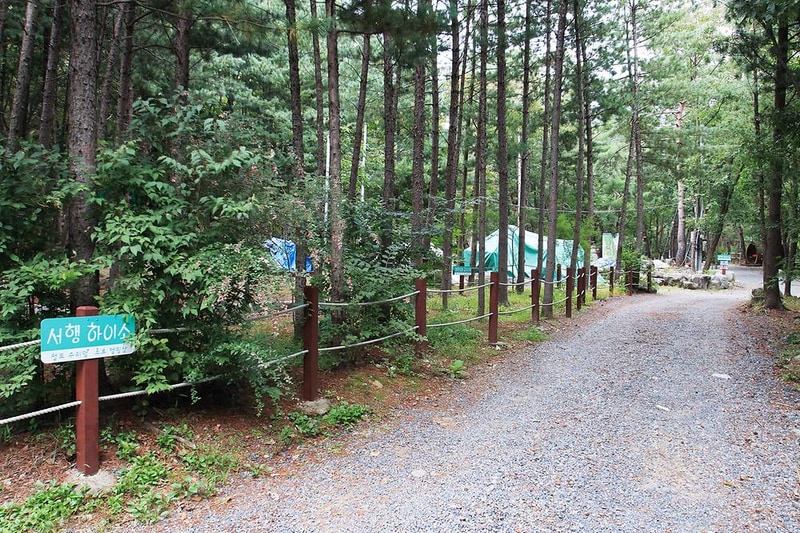 수리덤 캠핑장 시설 사진 7