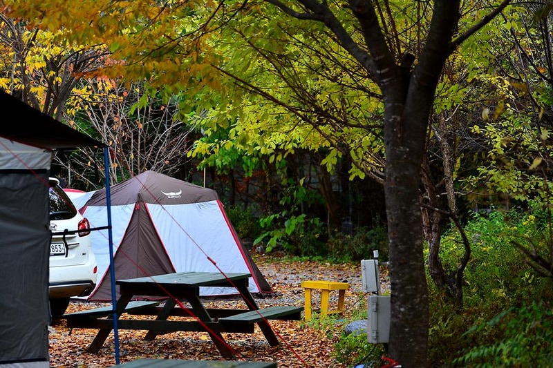 들꽃여울캠핑장 시설 사진 17